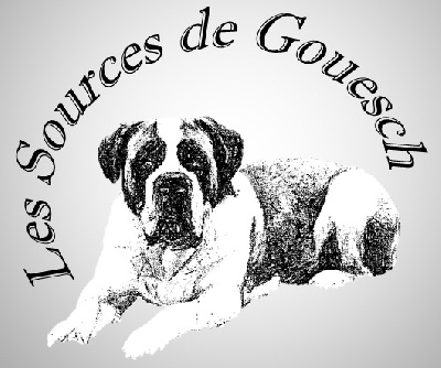 Des Sources De Gouesch